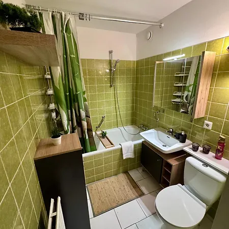 Bollenhut Apartment Baiersbronn